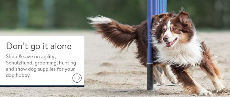 shock collar walmart in store