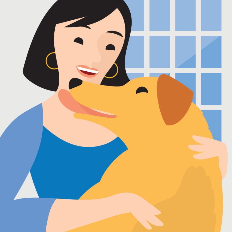 Walmart online pet supplies Clearance