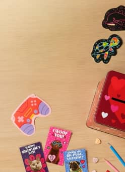 Valentine’s cards with cats and dogs, gaming controller-shaped card, tortoise card, dolphin card and heart-covered card exchange box.