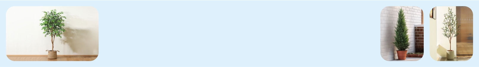 Faux plants, featuring DR.Planzen