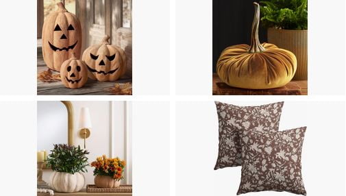 Fall Collective