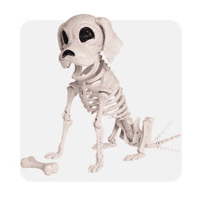 Skeleton