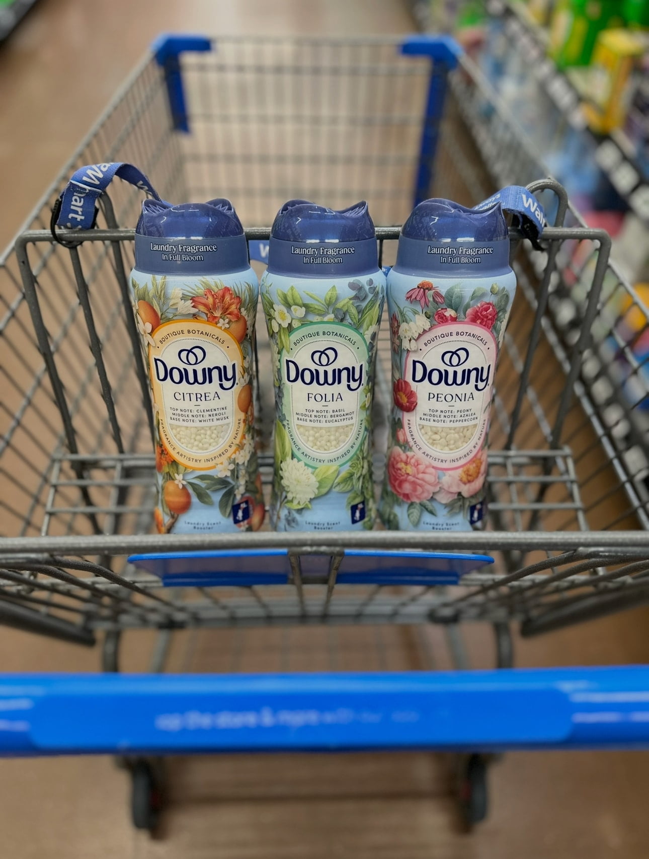 𝐍𝐄𝐖 𝑵𝑬𝑾 𝑁𝐸𝑊 Downy scent beads at Walmart, Shop post, 