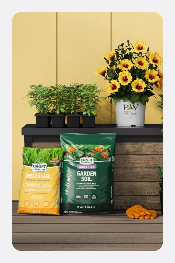A selection of plants, flowers and soil next to a yard box in a yard setting.