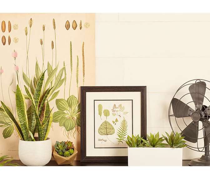 Art Wall Decor Com Garden Indoors