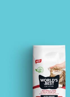 Teal background featuring a bag of World's Best Cat Litter.