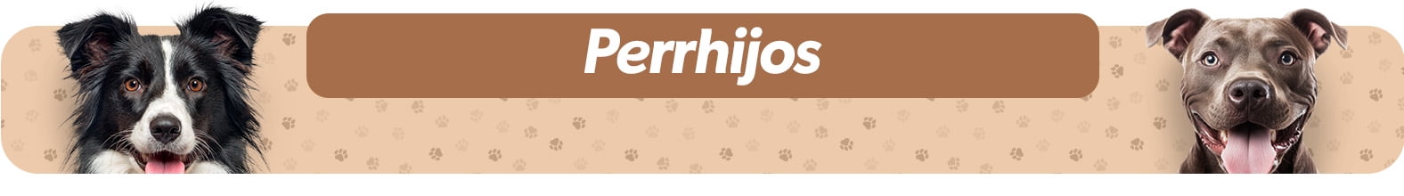 skinnyd-lpRegalos-perrhijos-2507-1576x220-cat