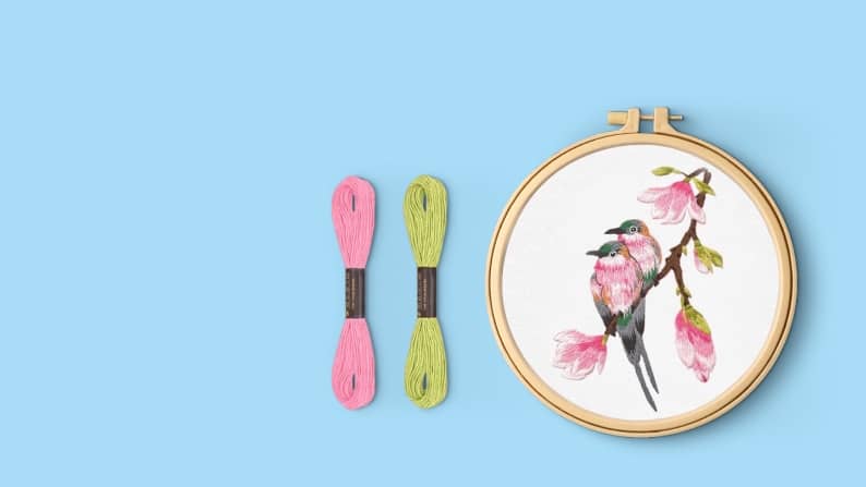 An embroidery set with a two hummingbird design is shown with two bundles of thread to its left. There is a light blue background.