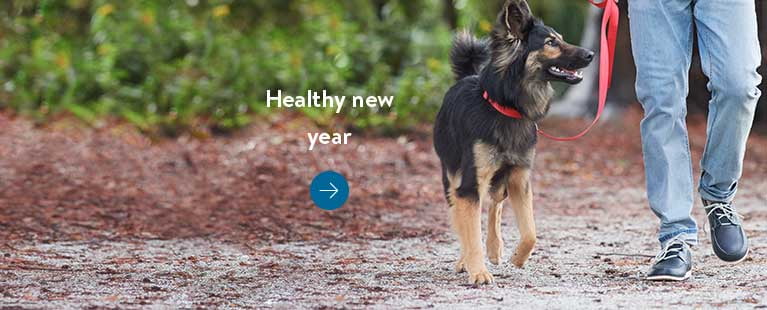 Walmart Pet Policy