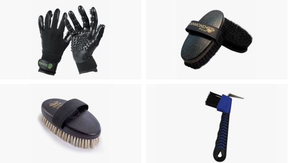 Grooming Basics