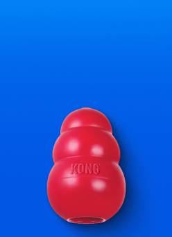 Image shows a red silicone dog chew toy.