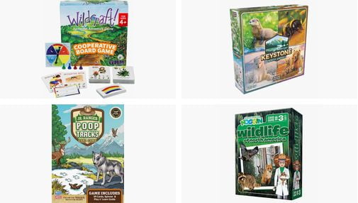Nature Games
