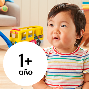 1 año