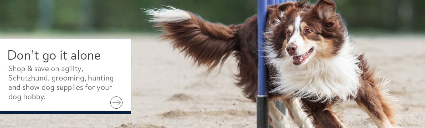 dog training clicker pets at home