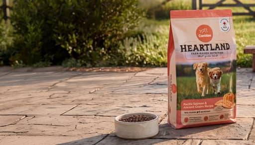 Canidae Heartland dog food bag with Pacific Salmon and Ancient Grains recipe next to a filled dog bowl on an outdoor stone patio.