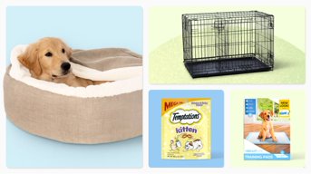 28 Pet Products To Occupy Them When It's Cold Outside