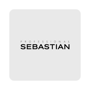 Professional Sebastian Belleza en Lider.cl