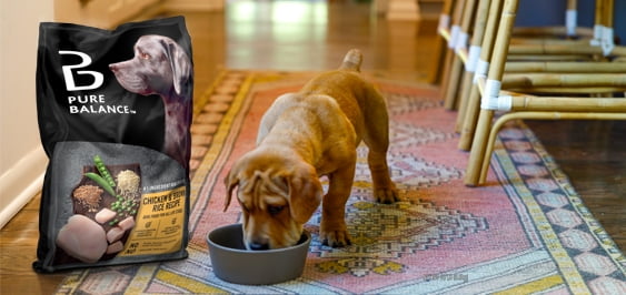 walmart pet supplies