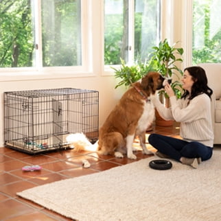 vibrant life dog crate walmart