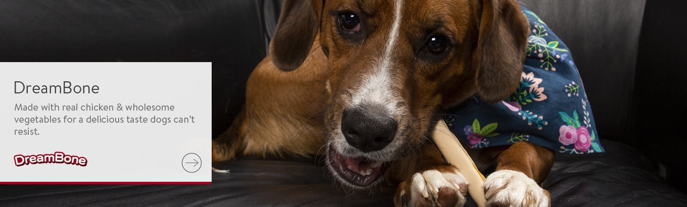 dreambone walmart