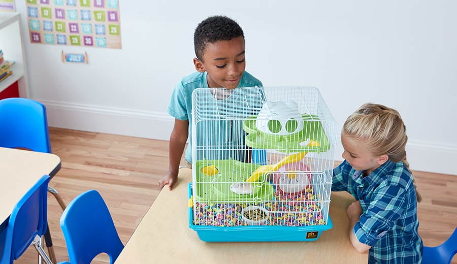 How to Choose the Best Classroom Pets for Elementary & Middle School