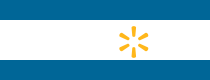 Walmart Pay. Pay like a pro. Walmart Pay. Pay like a pro.