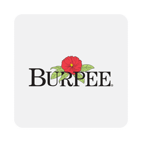 Burpee