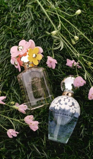 Two Daisy and Daisy Dream perfume bottles by Marc Jacobs rest on green grass among scattered pale pink petals.