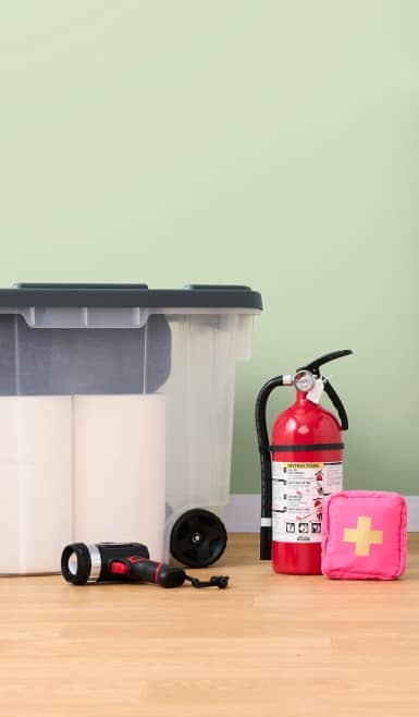 An image of a grey plastic bin, a red fire extinguisher, a black flashlight and a pink first aid kit on a wood floor against a green wall.