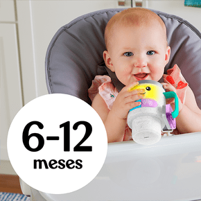 6-12 meses