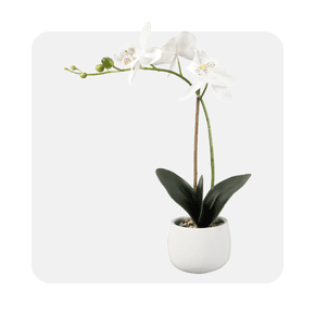 Artificial plants & flowers