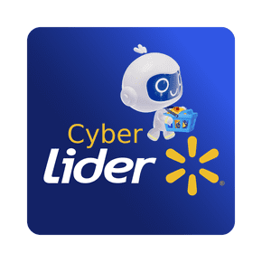 Cyber Lider