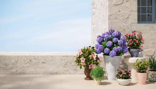 Colorful potted plants in front of a stone wall.