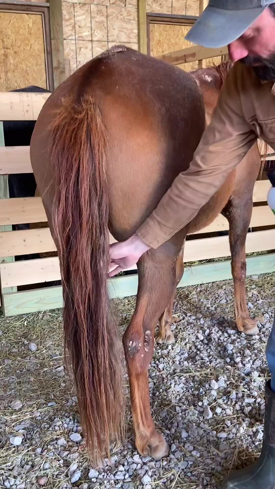 Helps brush out impossible knots in hair, Shop post,