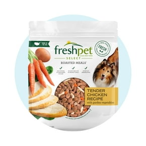 Pet Care