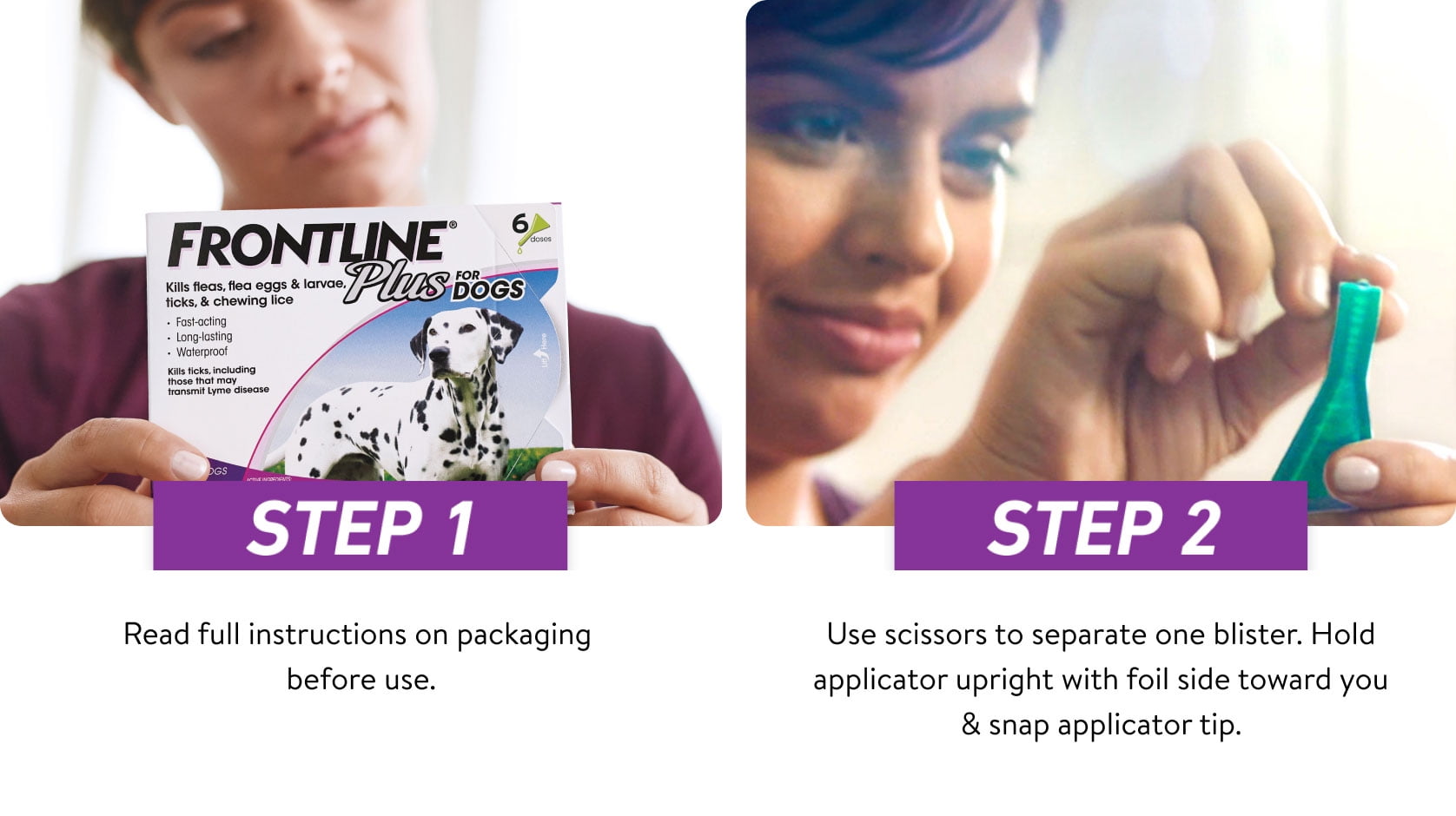 Applying frontline plus for dogs sales