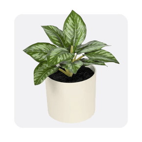 Artificial plants