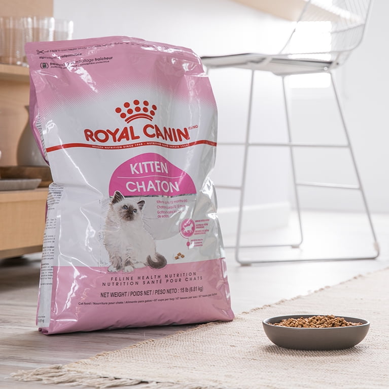 royal canin kitten food walmart