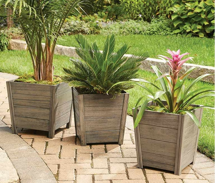 Garden Center Com Shrubs Bushes Foliage To Enhance Your Lawn Or Garden