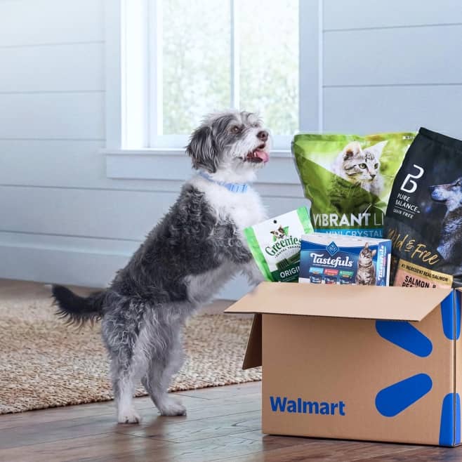A dog leaning on a Walmart box filled with dog food and treats.