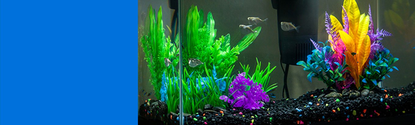 Waterbox Aquariums - Freshwater and Saltwater Aquarium Systems