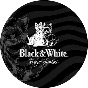Black&White