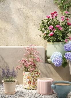 A collection of decorative ceramic planters in varied shapes, colors and patterns, each filled with blooming flowers and greenery.