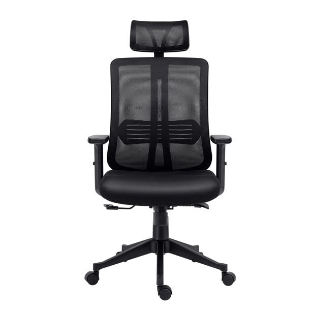 Ergonomic Chairs