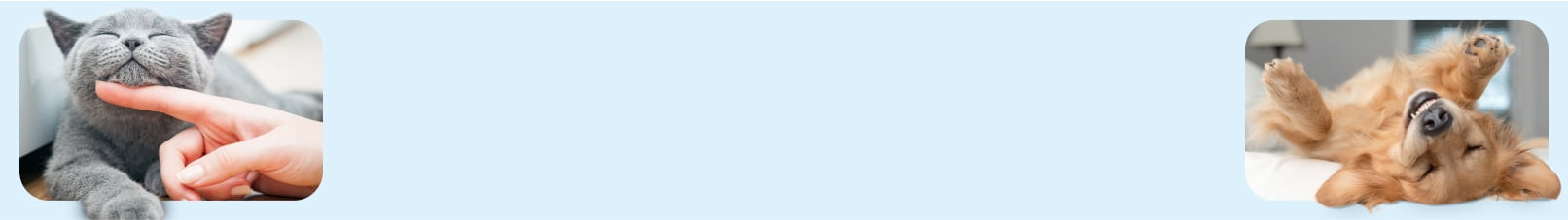 Health & wellness for your pet.