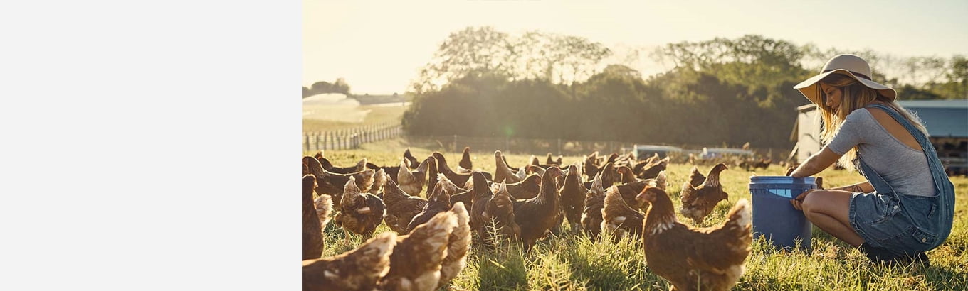 plastic farm animals walmart