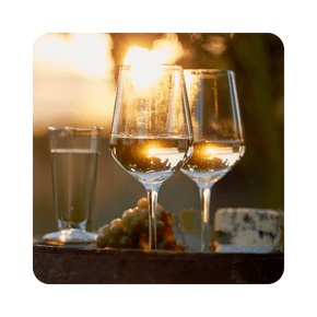 Vasos y copas