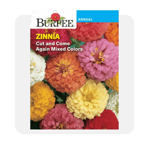 Garden seeds