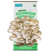 Mushroom Grow Kits