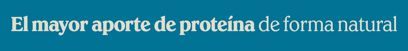 APORTE DE PROTEINA
